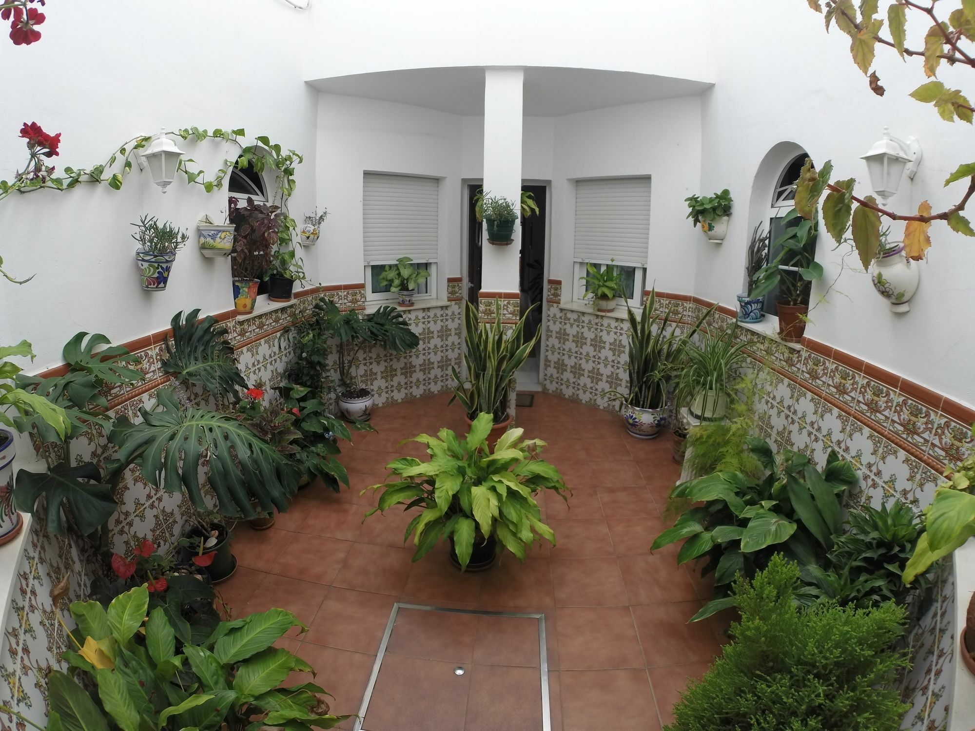 Hostal Andalucia Нерха Екстериор снимка